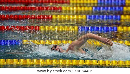 Wien, Österreich - NOVEMBER 29: Österreichische Schwimmerin Dominik Koll (im Bild) gewinnt die Männer 400m freesty