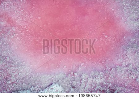 Closeup  pink brine and salt  of Sivash Lake near Azov Sea, colored by microalgae Dunaliella salina, famous for its antioxidant properties and enriching water of the lake by beta-carotene, used in medicine, dermatology  and  spa procedures.