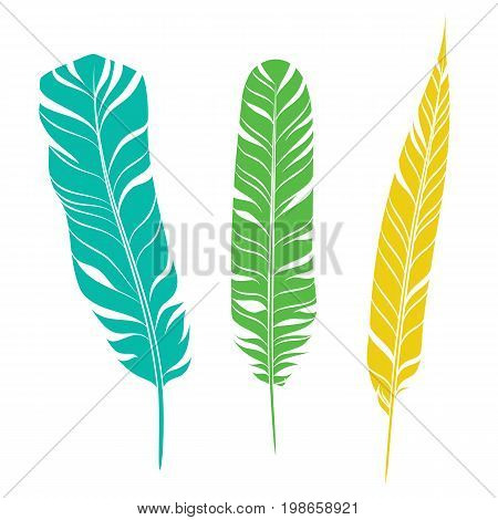 Elegant feathers set isolated on white background. Element for your design, decoration and artwork. Silhouette of three plumes different colors. Turquoise, green and yellow plumelets. Vector.