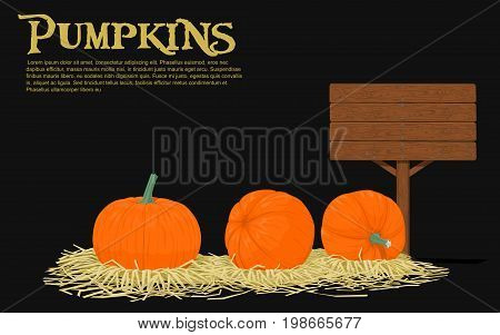 Pumpkins on straw with blank wooden signpost