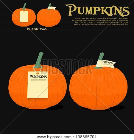 Isolated pumpkins with tag on black background