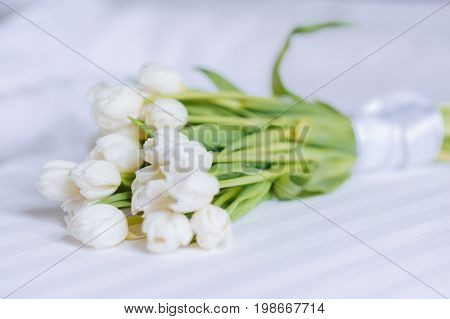 Bouquet Of Tulips On White Bed