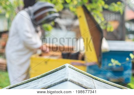 The process of obtaining honey backgroung with place for text copy space