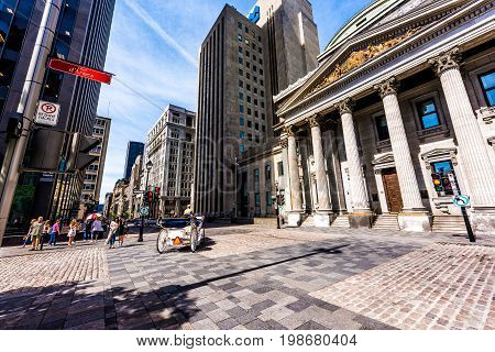 Montreal Canada - May 28 2017: Old town area with people horse carriage on place d'arms square during morning day outside Notre Dame Basilica church in Quebec region city