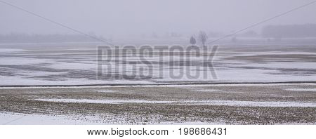 Wide snow blown farmland landscape with two small bare trees in the distance in Akwesasne, New York on an overcast blustery day in February.