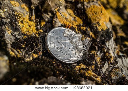 Two rubles on a stone and melting snow