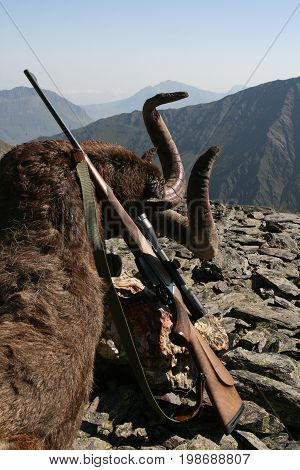 Trophy Caucasian Tur rifle for hunting in the mountains. Eastern or Dagestan Tur hunting rifle with a telescopic sight after a hunt in the Caucasus mountains.