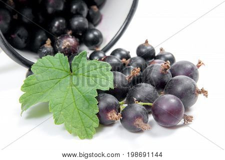 White Cup With Black Currant Berry In It And Small Bunch Of Black Currant With Green Leaf Isolated O