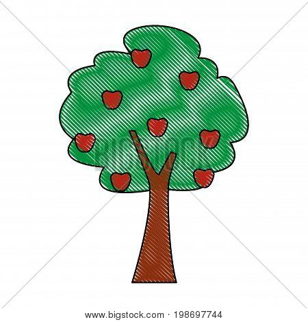 tree with fruit forest foliage natural botanical vector illustration