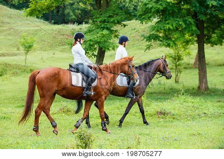 Two young women riding horse in park. Horse walk in summer