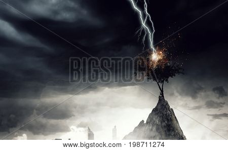 Bright lightning hit the tree