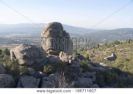 Mount of the Almorchones. Forest road towards Matalpino. Madrid's community. Spain. Europe.