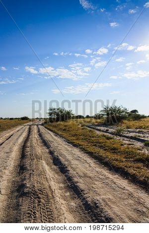 Dirt road for wildlife safari in Nxai Pan national park Botswana, Africa