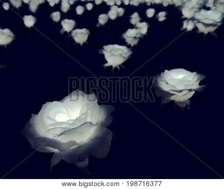 Seoul - July 2017: Glowing roses installation in front of Dongdaemun Design Plaza. 