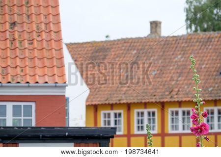 svaneke at the Island of Bornholm in denmark