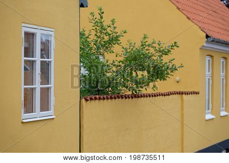 svaneke at the Island of Bornholm in denmark