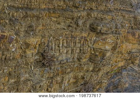 A wall made out of rocks looking like a backdrop