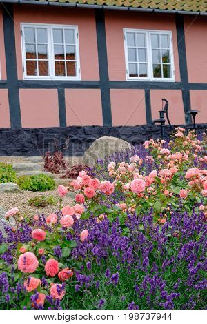 summer on the danish Island of bornholm