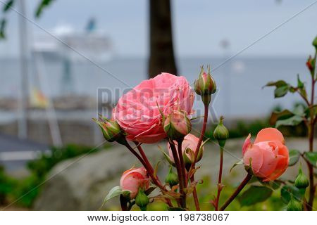 summer on the danish Island of bornholm