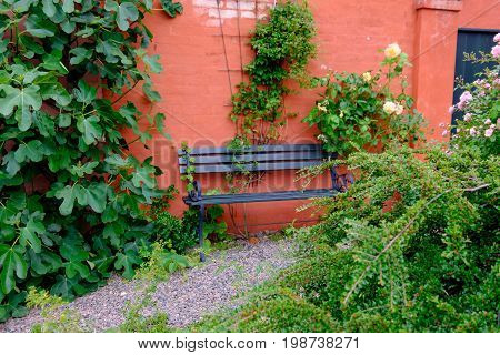 summer on the danish Island of bornholm
