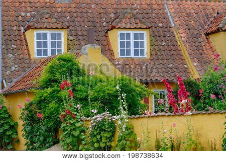 summer on the danish Island of bornholm