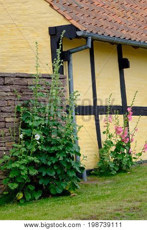 summer on the danish Island of bornholm