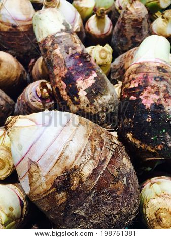 Taro, fresh vegetable for your good health