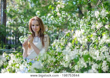 Beautiful woman in the garden of apple