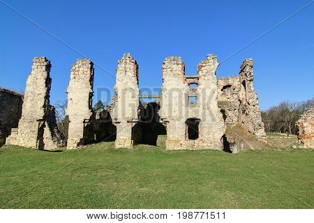 Ruins of Zviretice castle from the 14th century, Czech republic