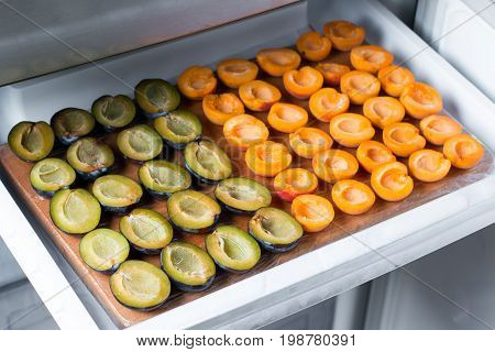Frozen plums and apricots in the freezer