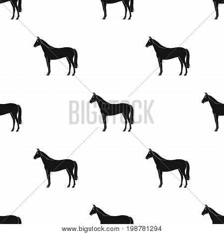 Horse.Animals single icon in black style vector symbol stock illustration .