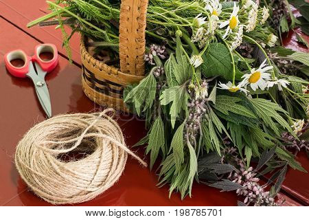 Medicinal plants are prepared for drying. Harvesting medicinal plants. Motherwort chamomile yarrow in basket scissors and string on brown wooden table
