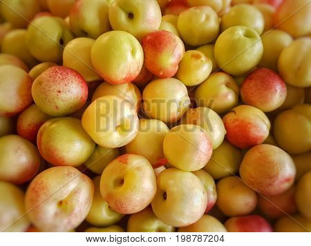 pile of many delicious yellow and red plums