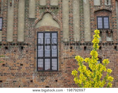 ystad, a small City in the south of sweden