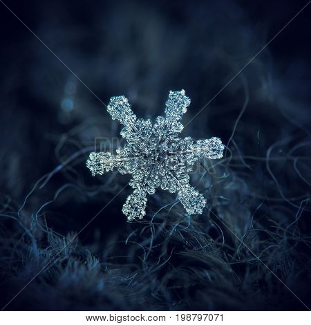 Real snowflake macro photo: large snow crystal with six simple, straight arms and large hexagonal center, completely covered by frozen bubbles of rime. Snowflake glowing on dark blue background.