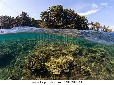 Double landscape with sea and sky. Seascape split photo. Tropical island lagoon. Underwater coral reef. Above and below waterline sea view. Exotic seashore wild nature view. Sunlight on sea corals