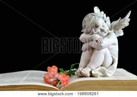 Angel guardian sleeping on the old book