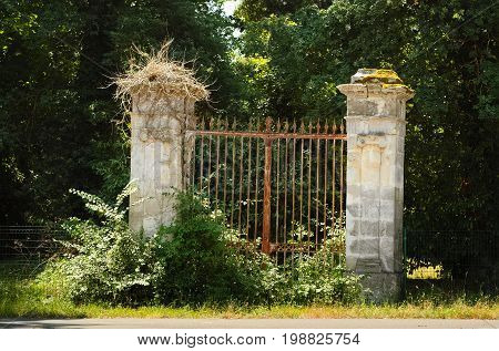 Old rusty portal covered with bushes and moss.