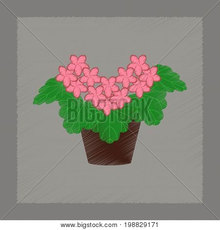 flat shading style Illustrations of plant Pelargonium