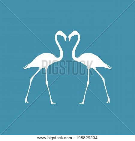 Illustration Flamingo