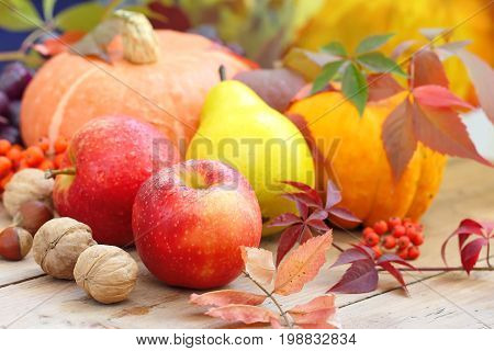 Autumn Still Life With Fruit, Vegetables, Berries And Nuts