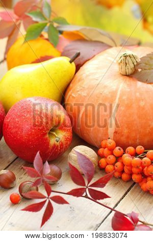 Autumn Still Life With Fruit, Vegetables, Berries And Nuts