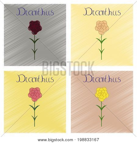 assembly flat shading style Illustrations of plant Dianthus