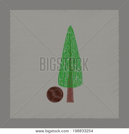 flat shading style Illustrations of plant Cupressus