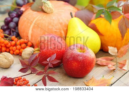 Autumn Still Life With Fruit, Vegetables, Berries And Nuts