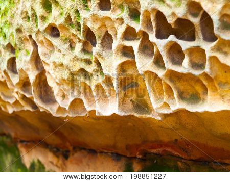 Sandstone texture with colorful ornments made by iron.