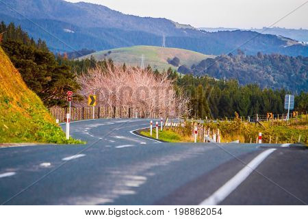 emtry road in countryside, sunset landscape