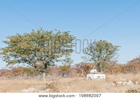 ETOSHA NATIONAL PARK NAMIBIA - JUNE 21 2017: A brass horn on a signpost outside Halali rest camp in the Etosha National Park Namibia. The name Halali was derived from the sound of a hunting horn