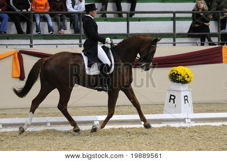 KAPOSVÁR, Maďarsko - 9. října: Heike Kemmer (GER) a její kůň (Quanticu) v herně drezuře