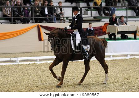 KAPOSVÁR, Maďarsko - 9. října: Heike Kemmer (GER) a její kůň (Quanticu) v herně drezuře